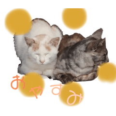 Free_20191021233631