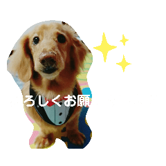 omame_20191022124315