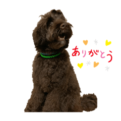 kazumi_20191022154733