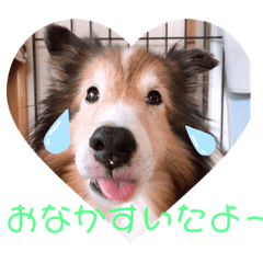 jun_20191022151746