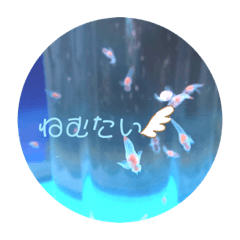 Kaede_20191022194714