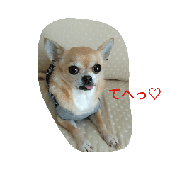 mame_20191022182912