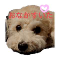 akane_20191022204356