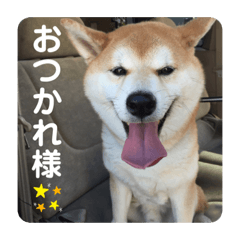 chi_20191022205306