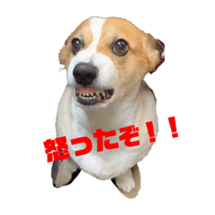 haruna_20191022213928