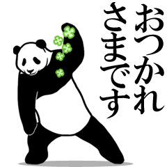 熊貓有可笑的運動:每天