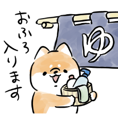 Shiba Inu Dog <Daily life>