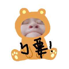 累累的蕾蕾