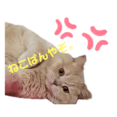mimi_20191023014822