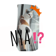 SAYA_20191023011834