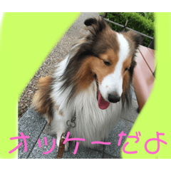 jun_20191023101908