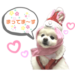 Moco_20191023180430