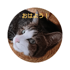 Michael_20191023191010