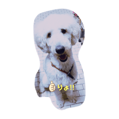 junko_20191023140117