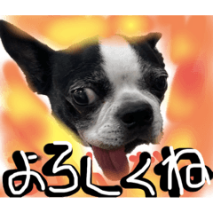 hiroyuki_20191023202706