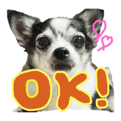 mizuki_20191023204308