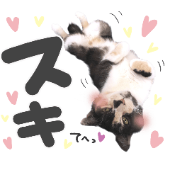 POP_stamp