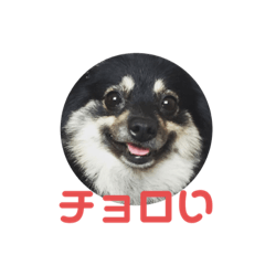 sekaiichikawaiimarochan