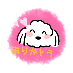 rino_20191023220606