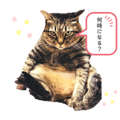 asuka_20191023221830