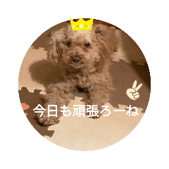 miyoko_20191023231219