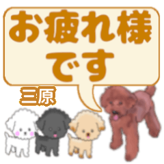 Mihara's. letters toy poodle