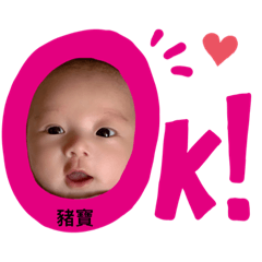 親親豬寶貝