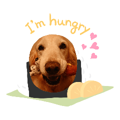 meme_20191023181109