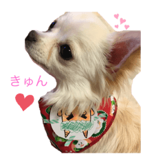 Rina_20191024002948
