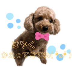 rina_yuuki