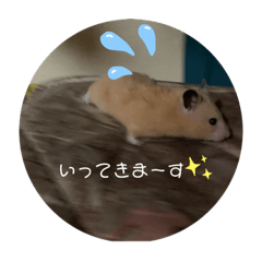 yuitan_20191024004404