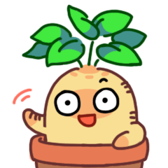 Delightful Mandrake Plant