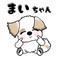 Shih Tzu Dog Mai-chan