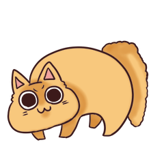 My chubby cat Chai
