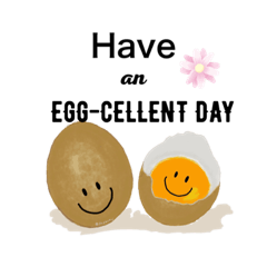 Organic & Healthy Egg by Signatural Farm