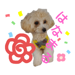 MARON_20191024083501