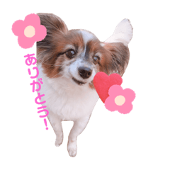 kuuchanNo.1