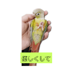 wasabi_20191024143436
