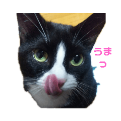 akiko_20191024160430