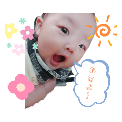 tanizaru_20191024154237