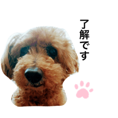 Miyo_20191024164113