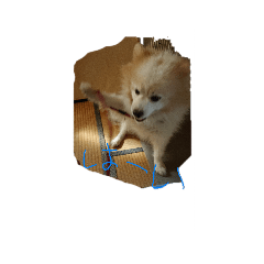 kaito_20191024163725