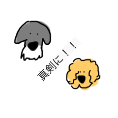 omayu_20191024173610