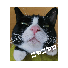 akiko_20191024180722