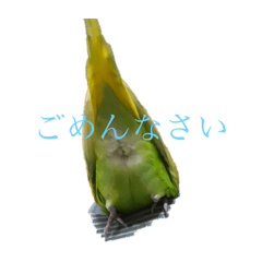 asuka_20191024185424