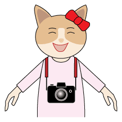 Animated camera cat