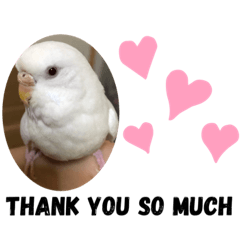 saya_20191024214627