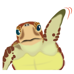 う ん ウミガメ Line スタンプ Line Store う ん ウミガメ Line スタンプ Line Store