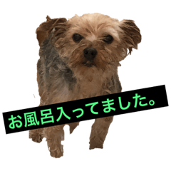 kuu_20191024204854
