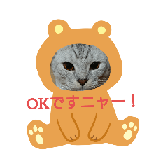 cocoa_20191024201743
